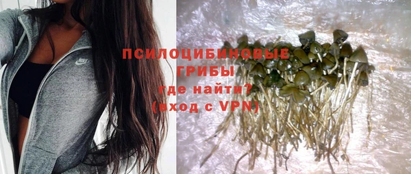 COCAINE Карпинск